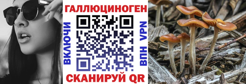 Галлюциногенные грибы Cubensis  дарнет шоп  Альметьевск 