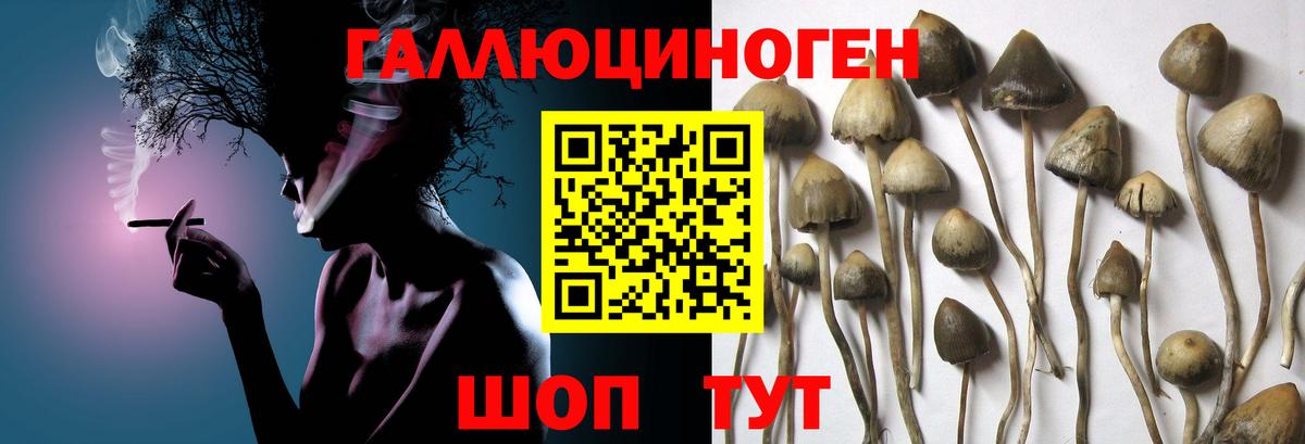 Галлюциногенные грибы прущие грибы Альметьевск