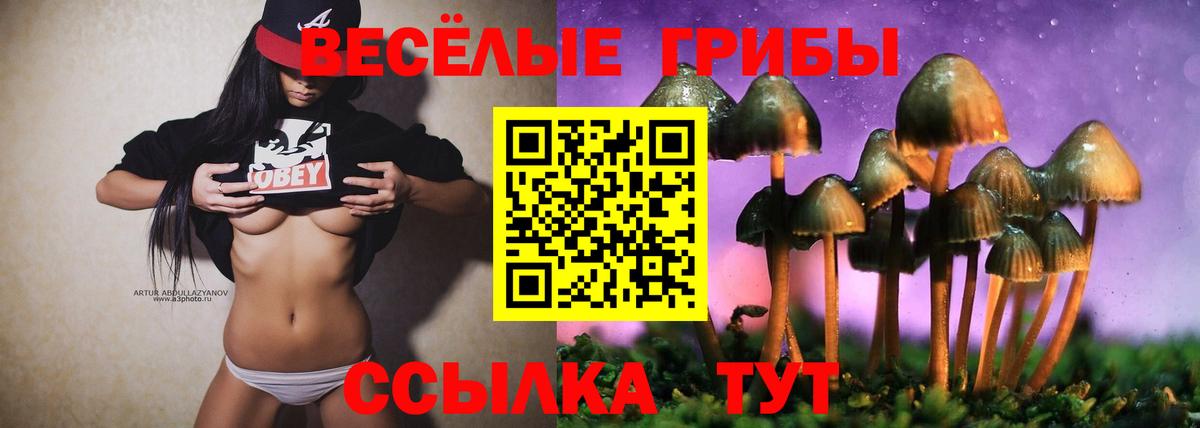 Псилоцибиновые грибы Magic Shrooms  купить наркоту  Альметьевск  Вход с VPN 